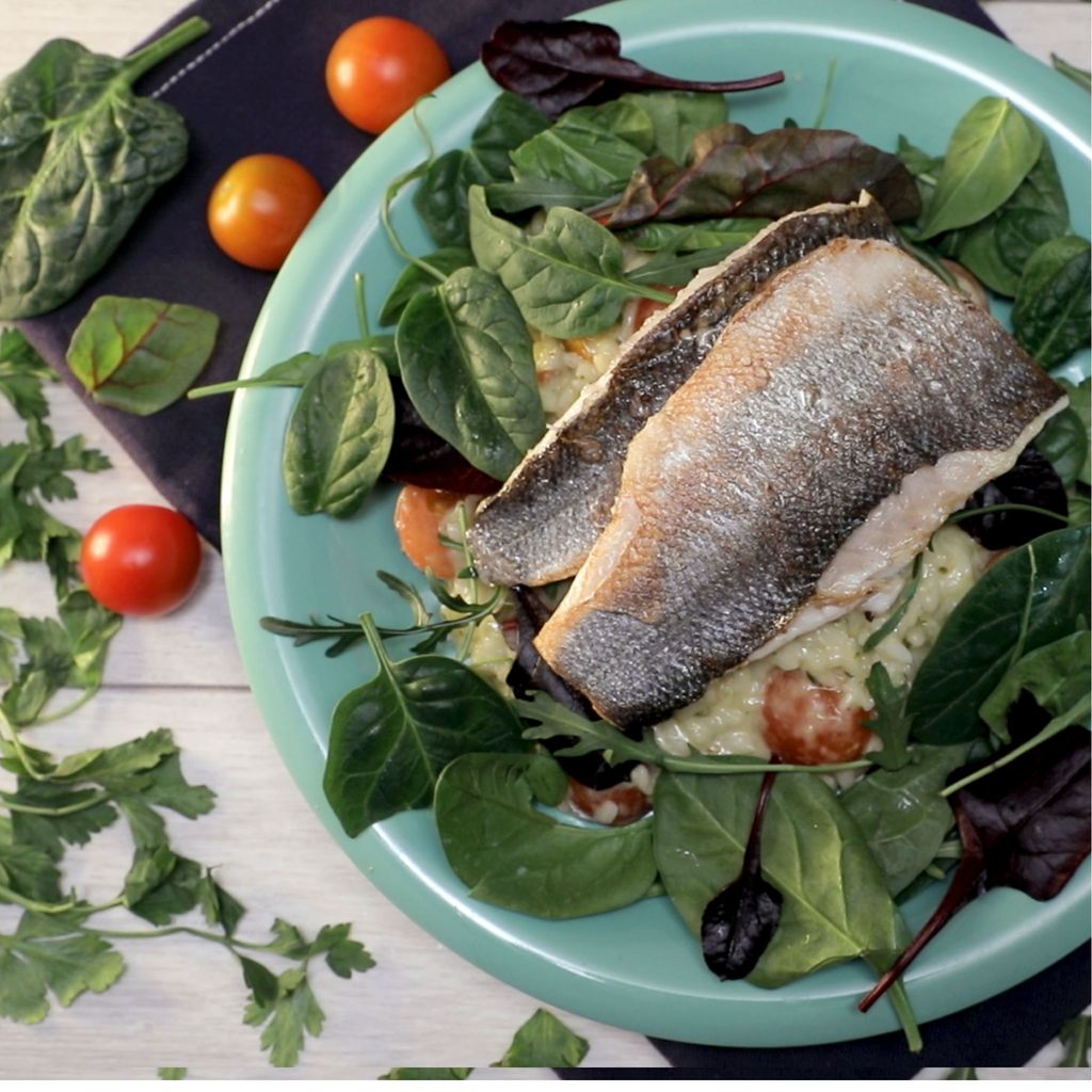 Sea Bass with Tomato and Herb Risotto Jean Patrique Professional Cookware