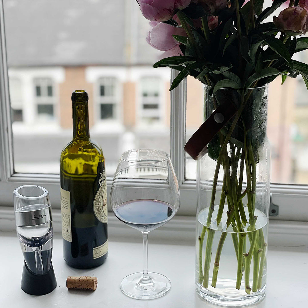 Wine Aerator with Stand