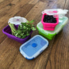 Silicone Food Storage Containers - Set of 4